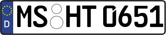 MS-HT0651