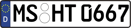 MS-HT0667