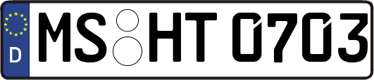 MS-HT0703