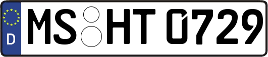 MS-HT0729