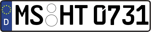MS-HT0731