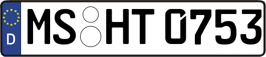 MS-HT0753