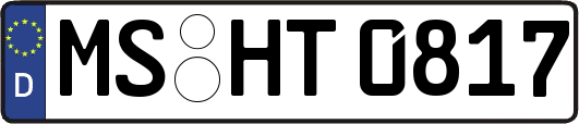 MS-HT0817
