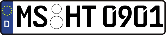 MS-HT0901