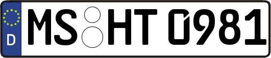 MS-HT0981
