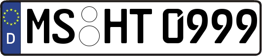 MS-HT0999