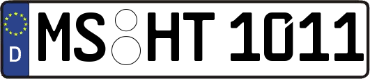 MS-HT1011