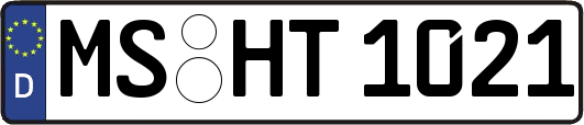 MS-HT1021