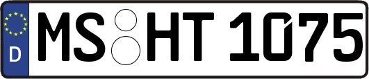 MS-HT1075
