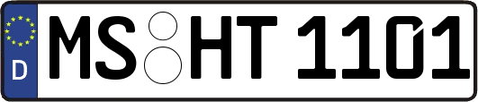 MS-HT1101
