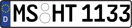 MS-HT1133