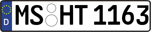 MS-HT1163
