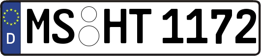 MS-HT1172