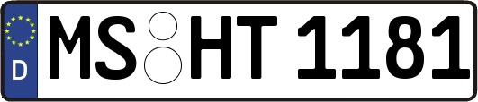 MS-HT1181