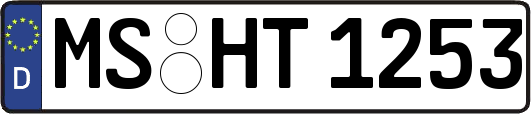 MS-HT1253