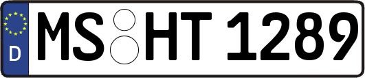 MS-HT1289