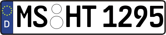 MS-HT1295