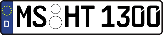 MS-HT1300