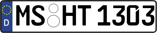 MS-HT1303