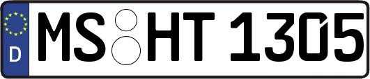 MS-HT1305