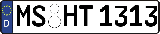 MS-HT1313