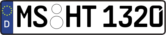 MS-HT1320