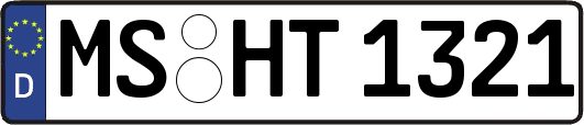 MS-HT1321