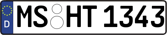 MS-HT1343