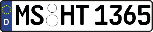MS-HT1365