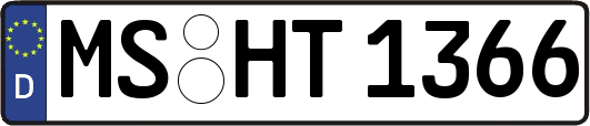 MS-HT1366
