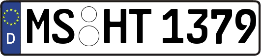 MS-HT1379