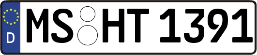 MS-HT1391