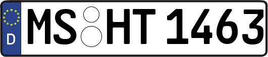 MS-HT1463
