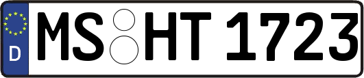 MS-HT1723