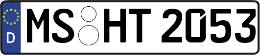 MS-HT2053
