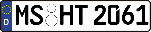 MS-HT2061
