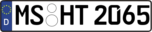 MS-HT2065