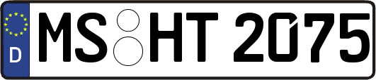 MS-HT2075