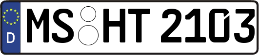 MS-HT2103