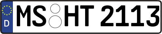 MS-HT2113