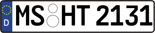 MS-HT2131