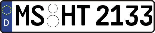 MS-HT2133