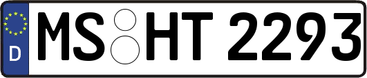 MS-HT2293