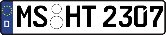 MS-HT2307