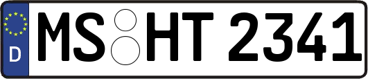 MS-HT2341