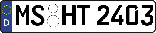 MS-HT2403