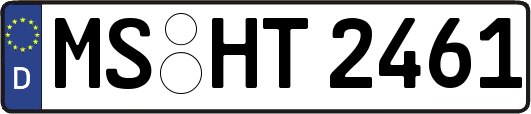 MS-HT2461