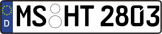 MS-HT2803