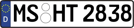 MS-HT2838