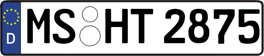 MS-HT2875